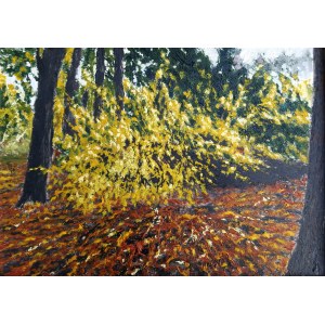 Jacek Barszcz, L'autunno nel Royal Łazienki.