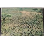 Gordon Rene - Afrika. Die Entdeckung des Kontinents [Album] ILLUSTRATIONS