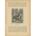 DYAKOWSKI Bohdan - Od Karpat do Bałtyku. Zbiór opisów z geografii kraju rodzinnego. Część I. Od Beskidu do Mazowsza [1910]
