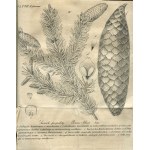 Sylwan. Dziennik nauk leśnych i łowieckich. Tom VII [1830] [z Rocznikiem Korpusu Leśnego Królestwa Polskiego na rok 1832]