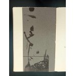 Leslaw M. Bartelski Children of Warsaw With illustrations by Ewa Wieczorek Varsaviana