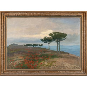 Iwan TRUSZ (1869 Wysocko, Ukraina - 1941 Lwów), Pejzaż z makami