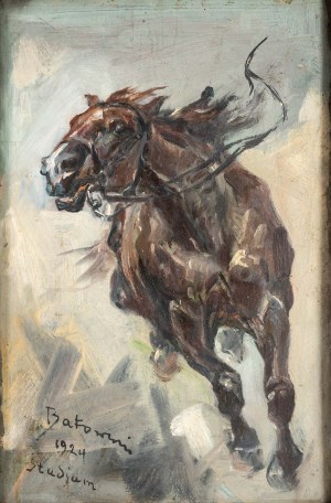 Stanisław BATOWSKI-KACZOR (1866 Lviv - 1946 Lviv), Studio di un cavallo, 1924