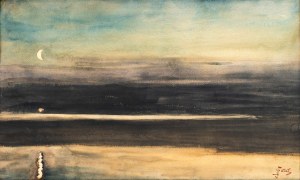 Julian FAŁAT (1853 Tuligłowy - 1929 Bystra), The Sea by Night