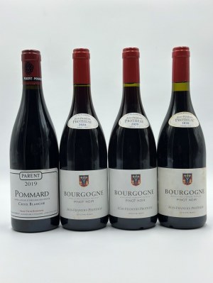 Burgundy selection, 2019-2020
