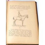 STIPAL- NAUKA JAZDY KONNEJ I TRESURY KONIA wyd. 1896