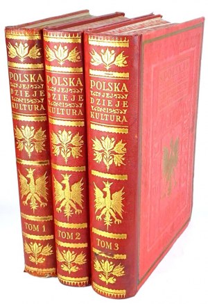POLSKA JEJ DZIEJE I KULTURA vol. I-III [complete] original