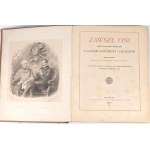 SUFFCZYNSKI - IMMER SIE 1917