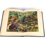 ILUSTROWANA ENCYKLOPEDIA TRZASKI, EVERTA I MICHALSKIEGO t.I-V (komplet)