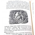 DEFOE - PRZYPADKI ROBINZONA KRUZOE wyd. 1937 stan