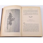 LEIXNER- WIEK XIX vol. 1-2 (set in 2vol.) WÓJCIK COVERING