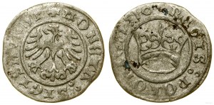 Polonia, mezzo penny, 1510, Cracovia