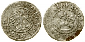 Poland, half-penny, 1511, Cracow