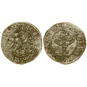 Poland, sheląg, 1539, Gdansk