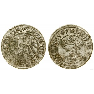 Poland, sheląg, 1547, Gdansk