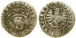 Poland, sheląg, 1530, Torun