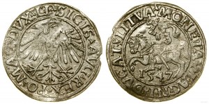 Polsko, půlpenny, 1547, Vilnius