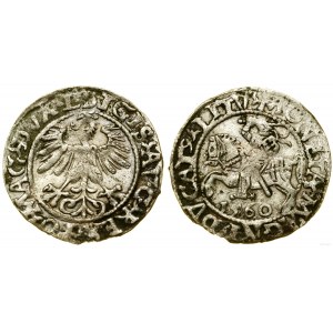 Polska, półgrosz, 1560, Wilno