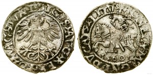 Polen, halber Pfennig, 1560, Vilnius