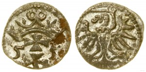 Poland, denarius, 1555, Gdansk