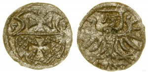 Poland, denarius, 1555, Elbląg