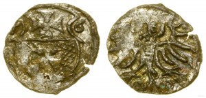 Polska, denar, 1556, Elbląg