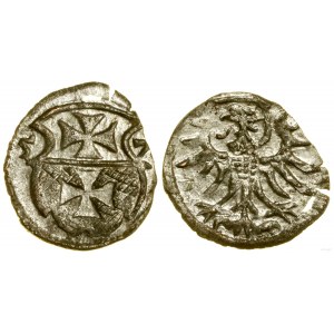 Poland, denarius, 1557, Elbląg