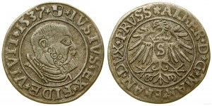 Herzogliches Preußen (1525-1657), Pfennig, 1537, Königsberg