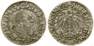 Ducal Prussia (1525-1657), penny, 1545, Königsberg