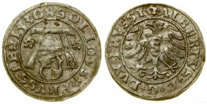 Prussia Ducale (1525-1657), gommalacca, 1530, Königsberg