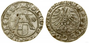 Prussia ducale (1525-1657), gommalacca, 1557, Königsberg