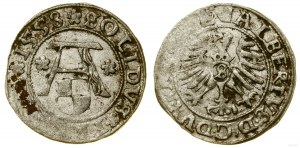 Ducal Prussia (1525-1657), shilling, 1558, Königsberg