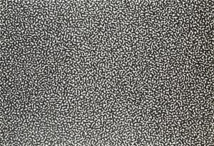 Piotr Uklański (ur. 1968, Warszawa), Bez tytułu (Blood Worms), 2011