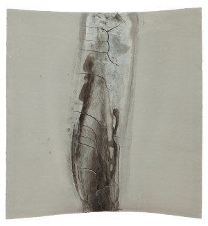 Bartosz Kokosiński (ur. 1984, Siewierz), Bez tytułu, 2014