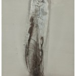 Bartosz Kokosiński (ur. 1984, Siewierz), Bez tytułu, 2014