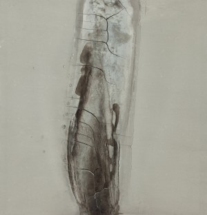 Bartosz Kokosiński (ur. 1984, Siewierz), Bez tytułu, 2014