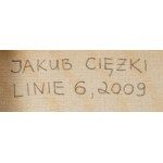 Jakub Ciężki, Linie 6 z cyklu To read between the lines”, 2009