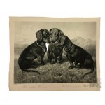 Collection of Old Photos and Engravings, German Map of Warsaw and Modlin