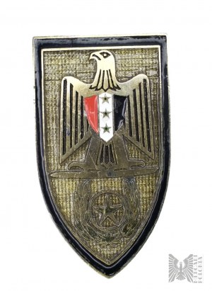 Badge for Participation in Combat Action, Mission in Iraq (?).