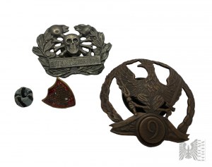 Three Badges - Patriotic Eagle, Assault Troops from the Period of the Silesian Uprisings (Copy, Panasiuk cap), Damaged Legion Rifleman Badge.