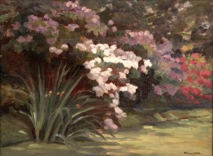 Flower garden in Tivadar Josef Mousson's paintings