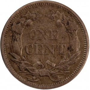 USA 1 Cent 1858 Mint Error Doubled Die Obverse