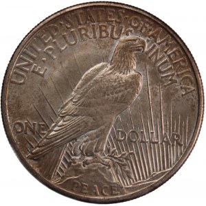USA 1 Dollar 1921