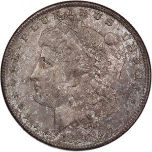 USA Morgan Dollar 1880 S