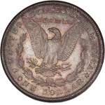 USA Morgan Dollar 1880 S