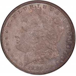 USA Morgan Dollar 1885