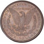 USA Morgan Dollar 1885