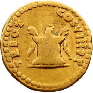 Domitianus, Aureus 81-96, Řím