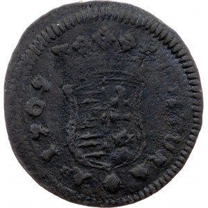 Franz II Rákóczi, Poltura 1705