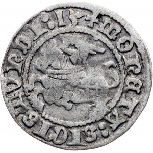 Poland, 1/2 Groschen / Półgrosz 1513, Vilnius